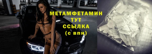 ПСИЛОЦИБИНОВЫЕ ГРИБЫ Заволжье