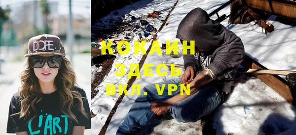 гашик Новодвинск