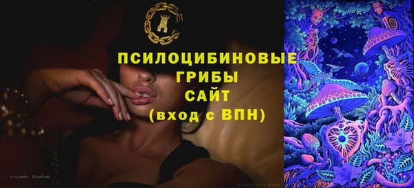 гашик Новодвинск